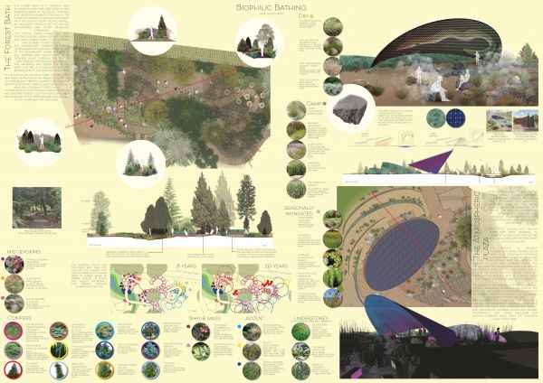 Hilary Hoggett - Detailed Design: Biophilic Bathing