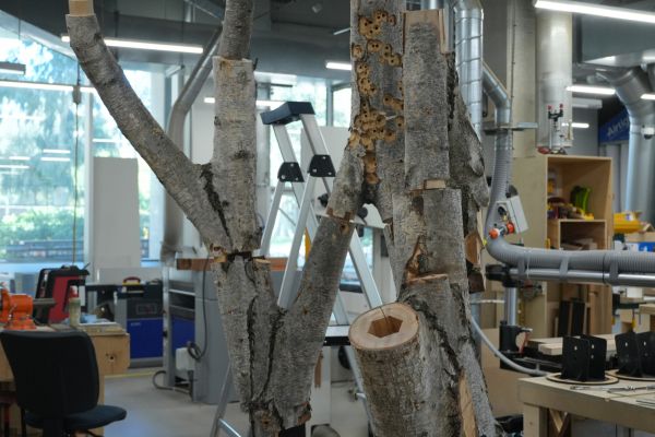 tree branches with modified joints