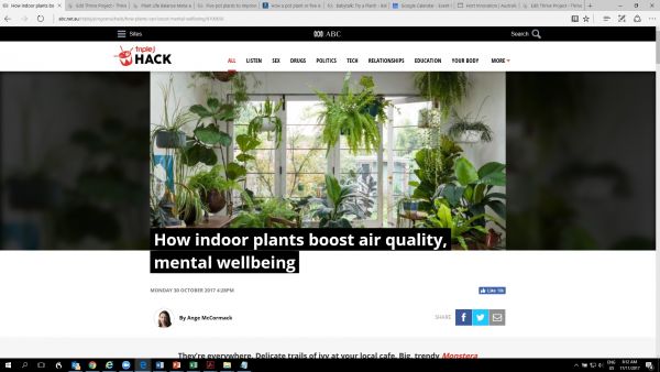 How indoor plants boost air quality, mental wellbeing