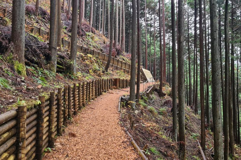 Okutama Forest Therapy Trail