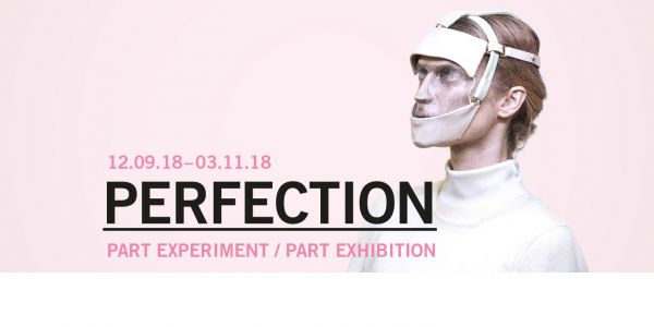 Science Gallery - Perfection exhibition