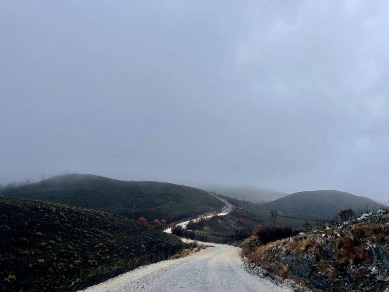 West Coast Explorer road