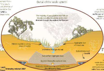 Swale System: Detail