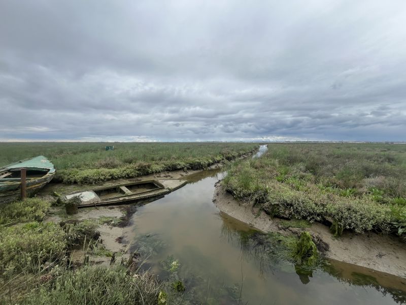 Venice wetlands