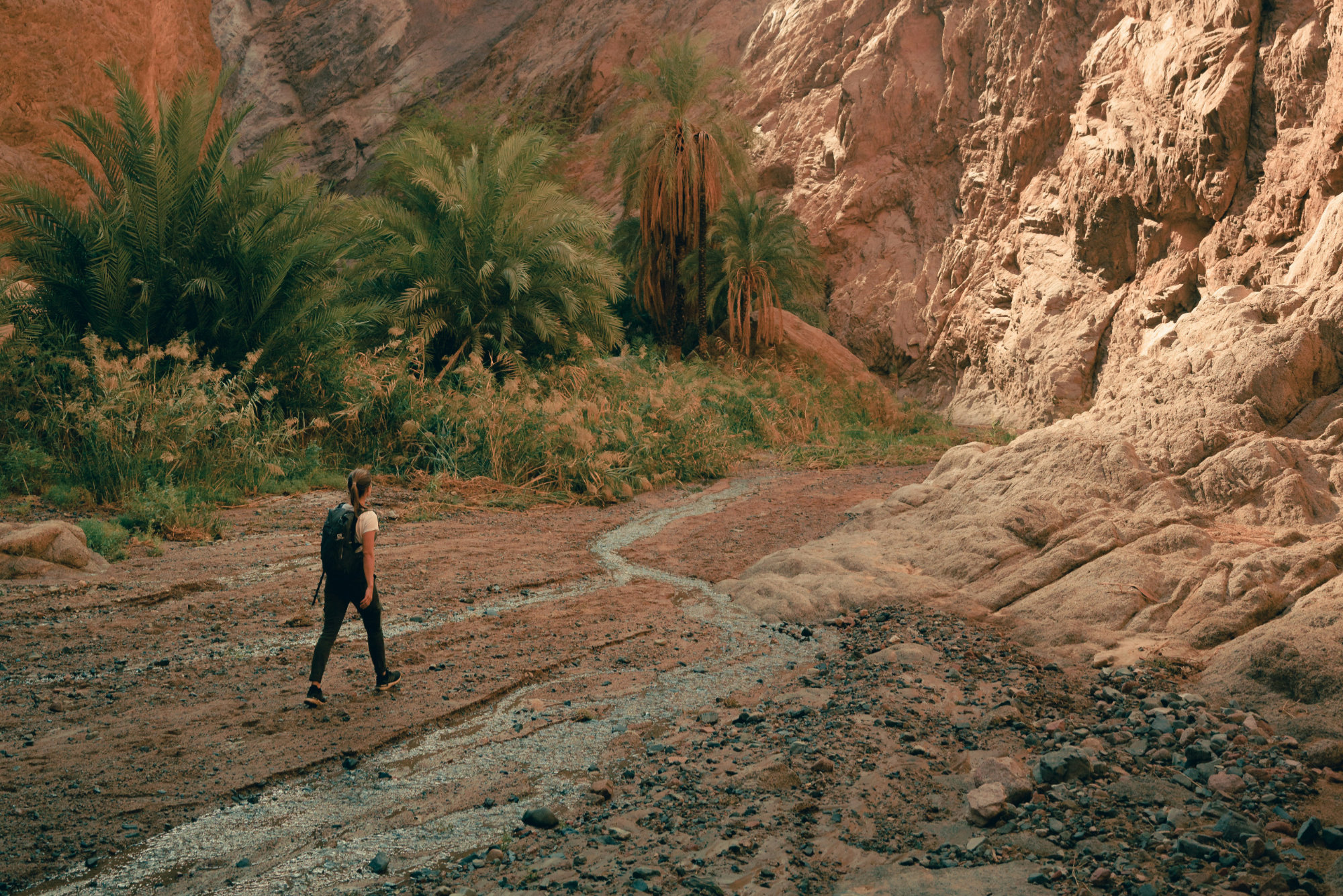 A person hikes along a stream through a valley