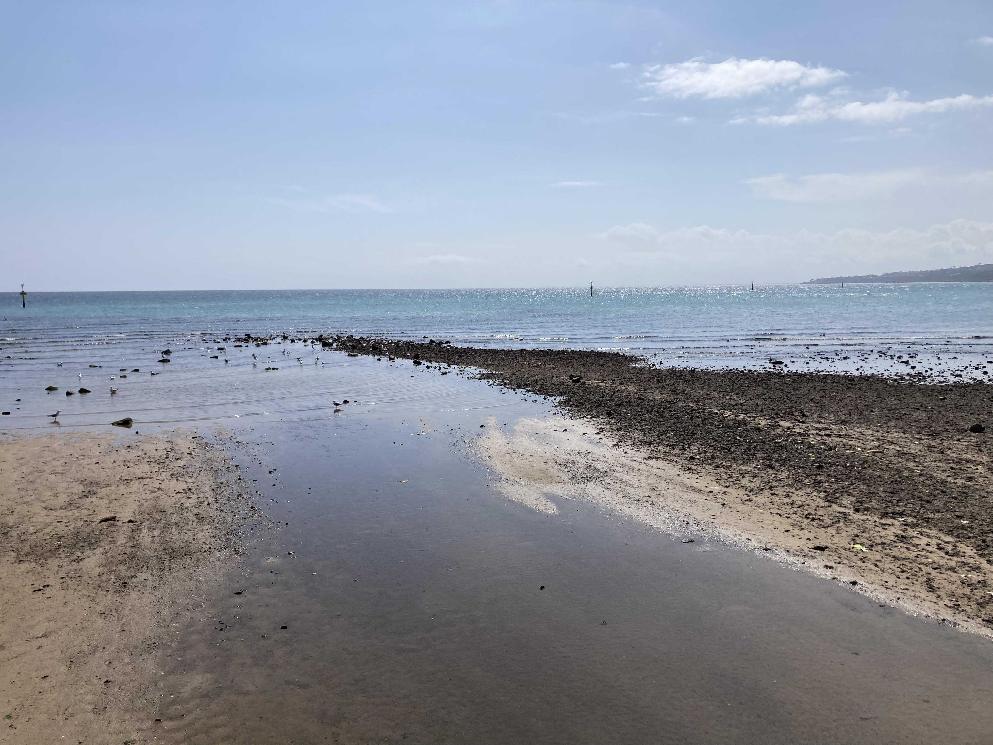 5 Site Visit - Tanti Creek Estuary, Frankston, VIC