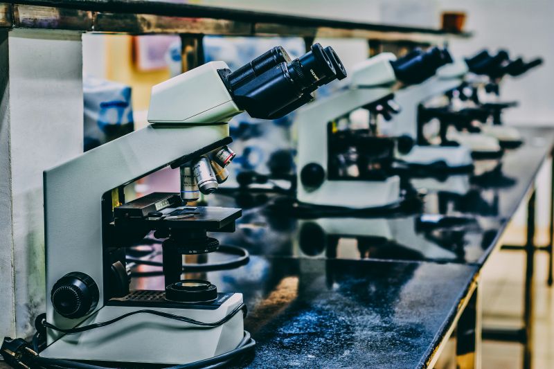 A row of microscopes sit on a laboratory bench
