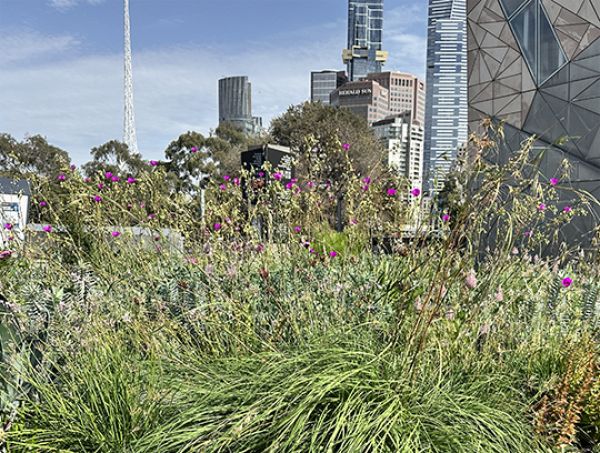 Photo of landscaping in urban space