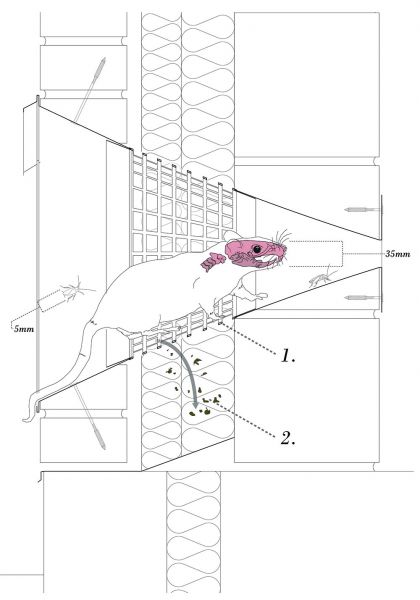 Diagram showing a rat unable to enter a hole