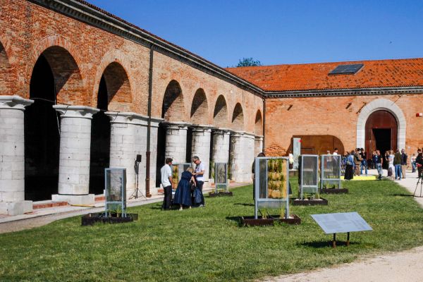 View of whole exhibition 