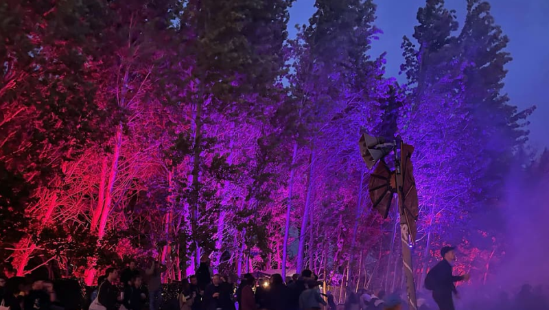 Karrusel Festival, Copenhagen 2021
