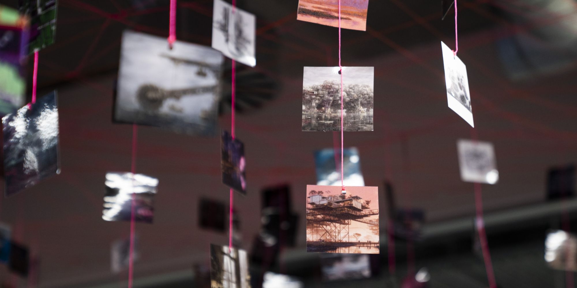 Close up of exhibition by Steph Irvine