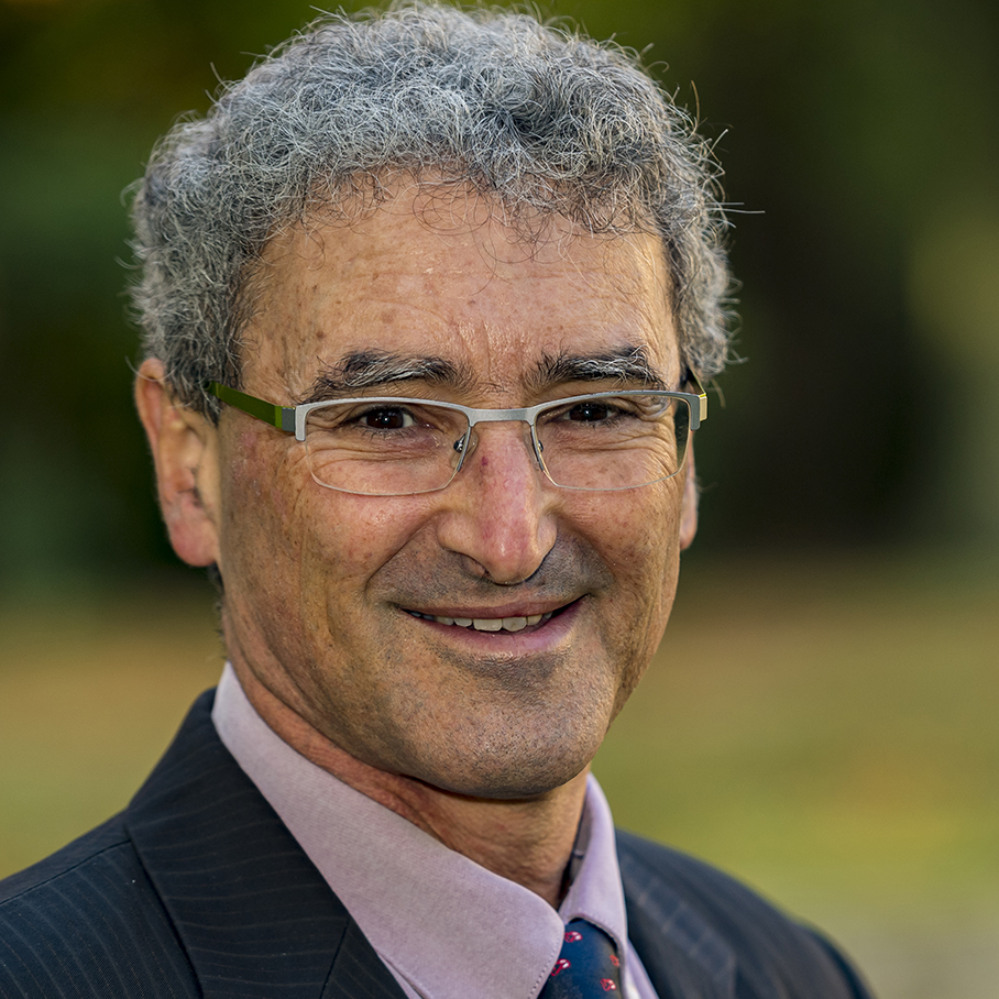 Profile picture of Professor Rafael Sacks