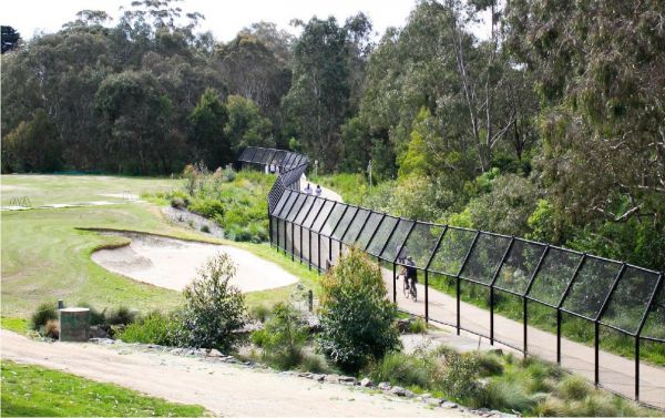 Darebin Creek Trail. Image by Gina Dahl.