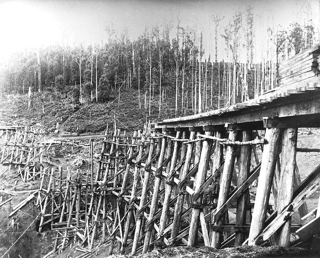 One Tree Bridge A Single Tree
