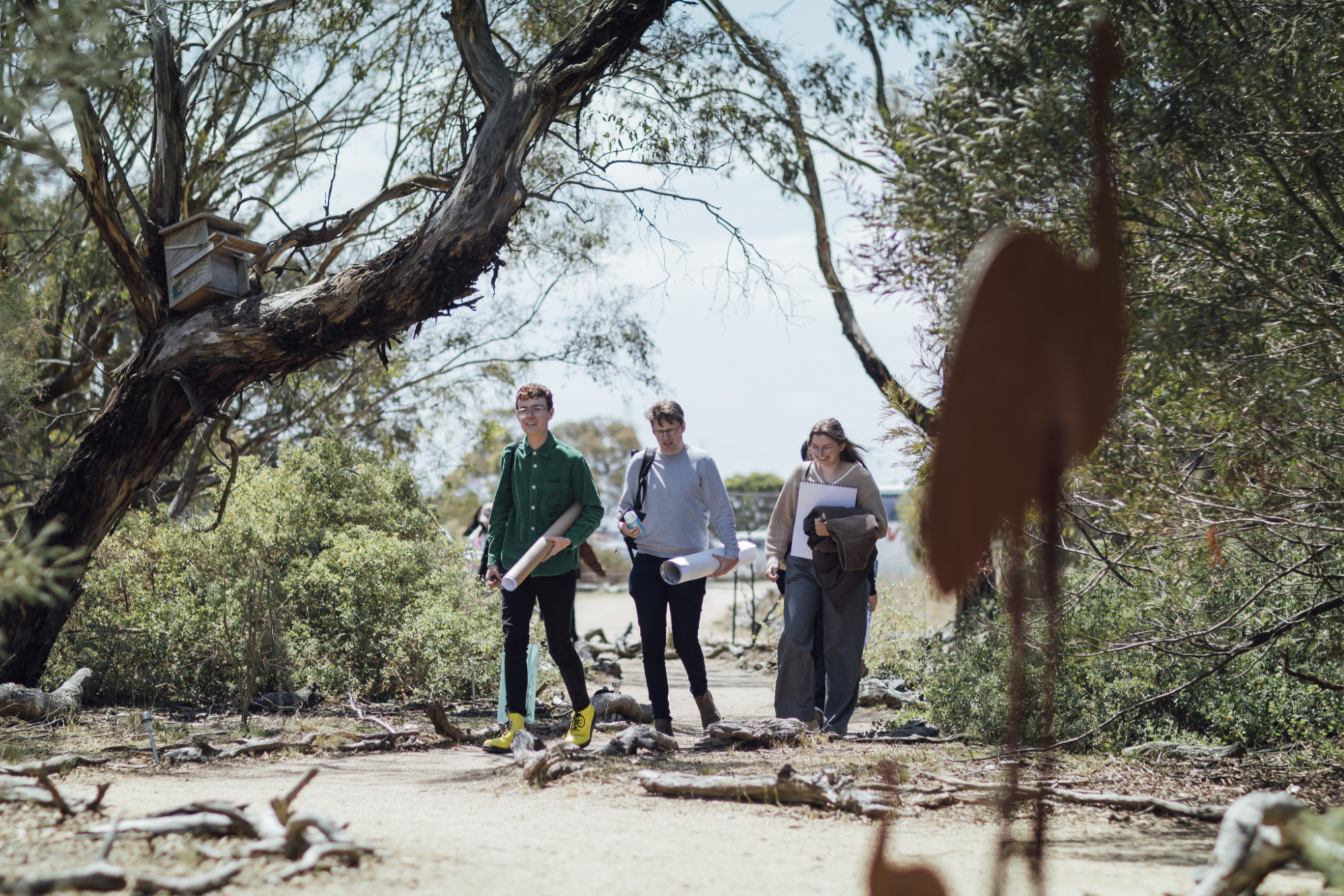 Three students walk towards the camera in a bush landscape