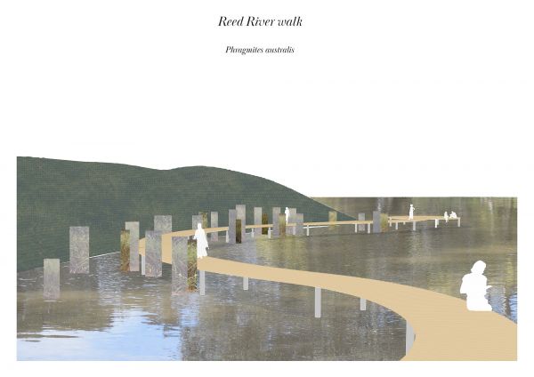 Reed river walk